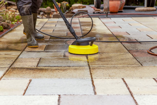 Best Warehouse Cleaning  in Constantine, MI