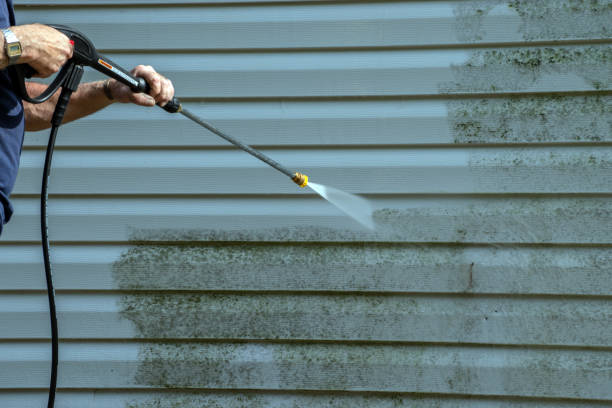 Best Rust Removal  in Constantine, MI